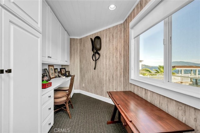 4397 E State Highway 20, Nice, CA 95464 - photo 13