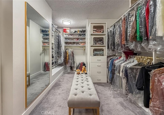 20208 Blythe St, Winnetka, CA 91306 - photo 22