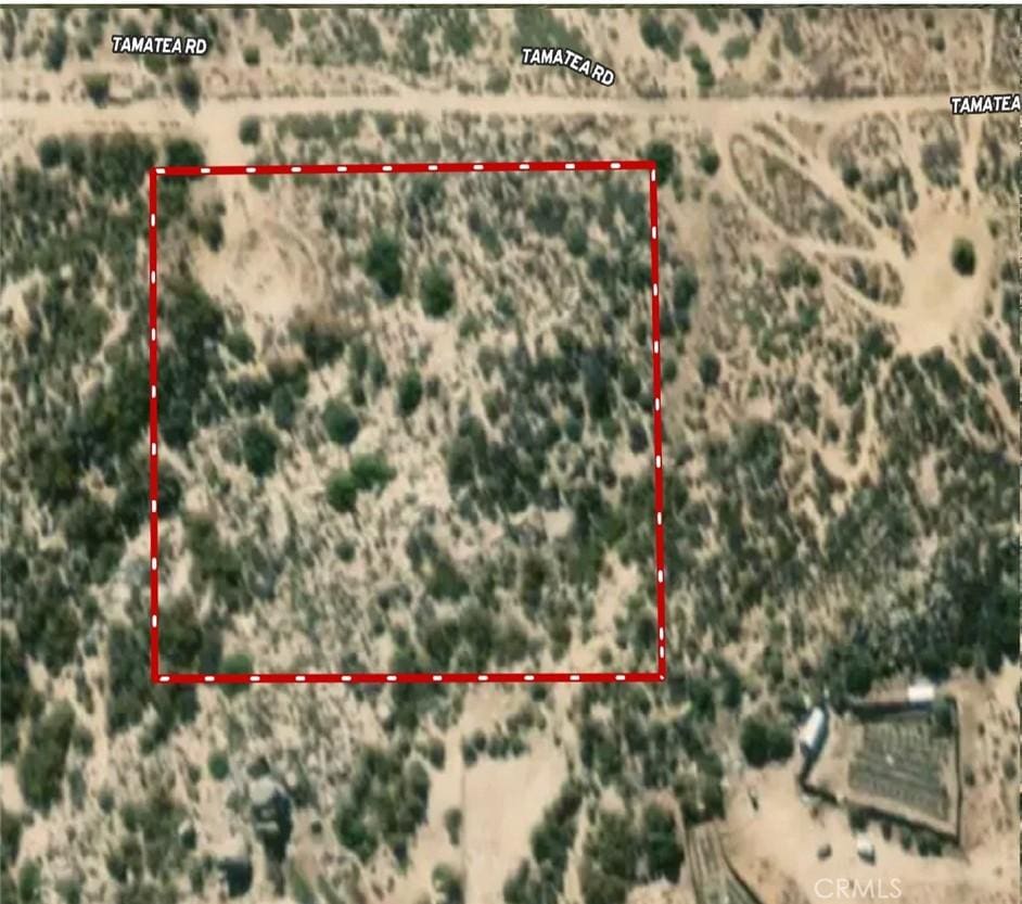 57742002 Tamatea Rd, Anza, CA 92539 - photo 3