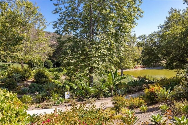 2453 Lapis Rd, Carlsbad, CA 92009 - photo 58