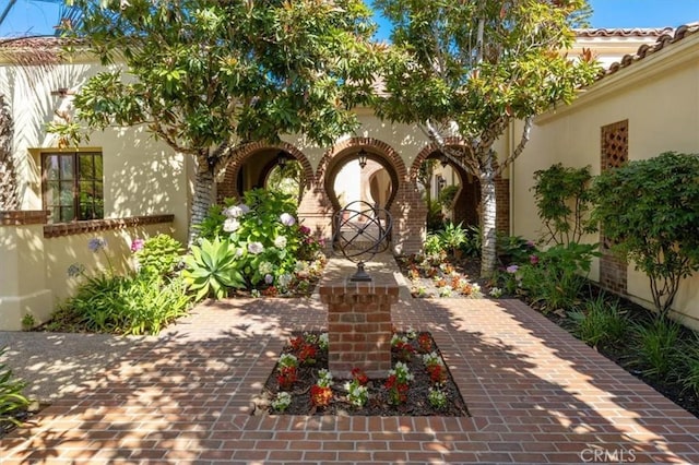 2453 Lapis Rd, Carlsbad, CA 92009 - photo 54