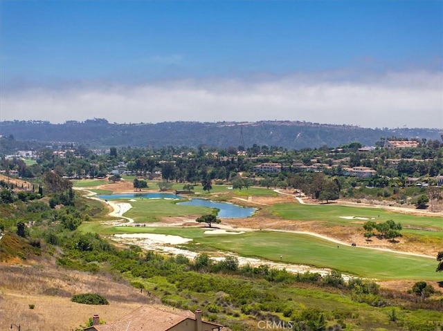 2453 Lapis Rd, Carlsbad, CA 92009 - photo 66