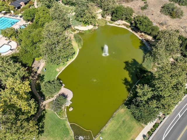 2453 Lapis Rd, Carlsbad, CA 92009 - photo 72
