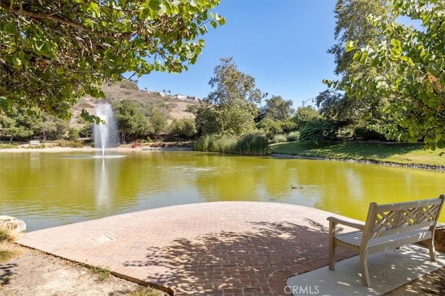2453 Lapis Rd, Carlsbad, CA 92009 - photo 52