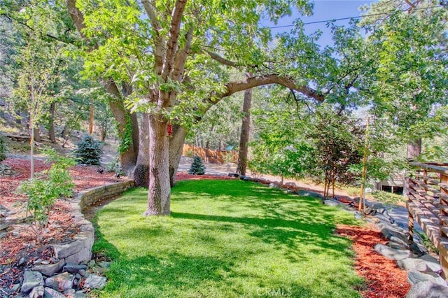 5475 Acorn Trl, Wrightwood, CA 92397 - photo 35