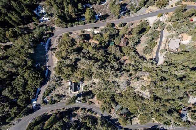 1301 Bernina Dr, Pine Mountain Club, CA 93222 - photo 3