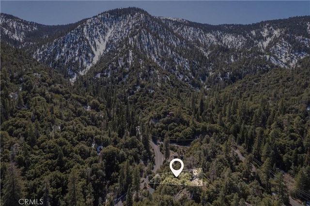 1301 Bernina Dr, Pine Mountain Club, CA 93222 - photo 7