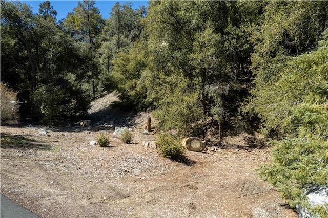 1301 Bernina Dr, Pine Mountain Club, CA 93222 - photo 2