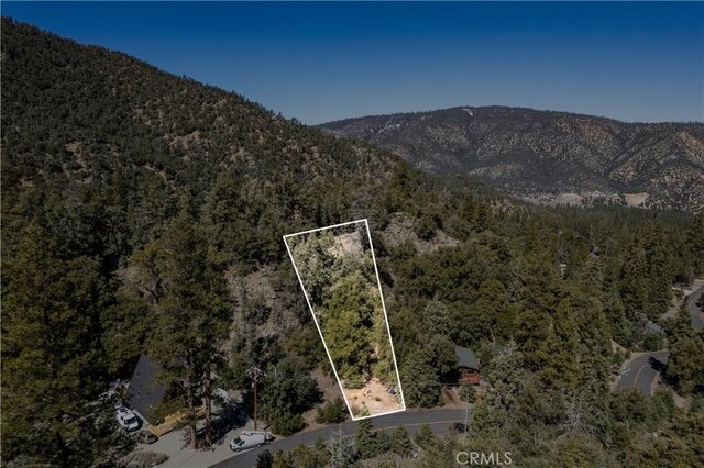 1301 Bernina Dr, Pine Mountain Club, CA 93222 - photo 5