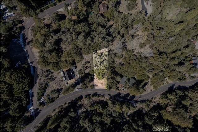 1301 Bernina Dr, Pine Mountain Club, CA 93222 - photo 6