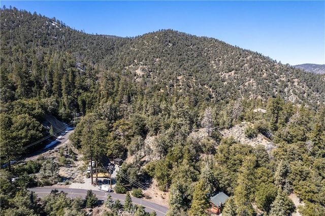 1301 Bernina Dr, Pine Mountain Club, CA 93222 - photo 4