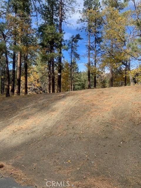 0 Oriole Rd, Wrightwood, CA 92397 - photo 1