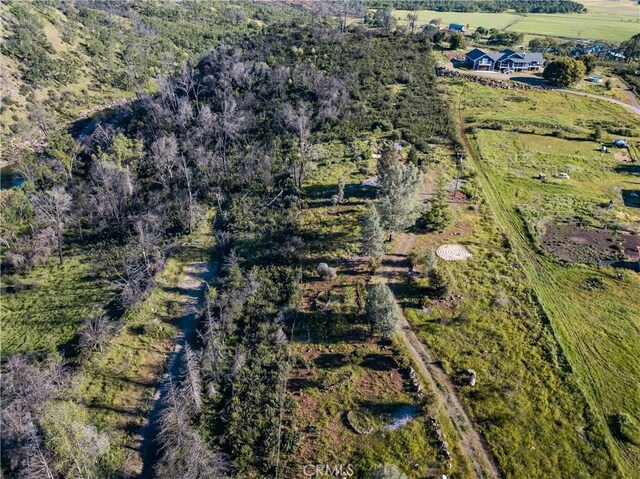 21541 Yankee Valley Rd, Hidden Valley Lake, CA 95467 - photo 19