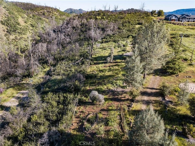 21541 Yankee Valley Rd, Hidden Valley Lake, CA 95467 - photo 14