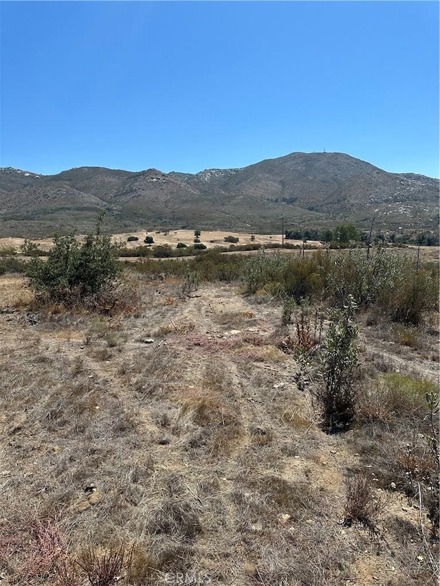 45775 Red Mountain Rd, Hemet, CA 92544 - photo 37