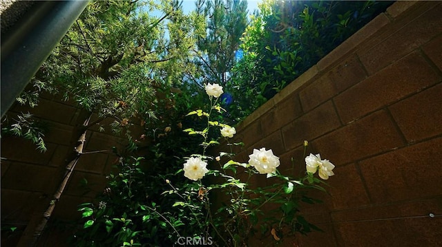 55 Decker, Irvine, CA 92620 - photo 11