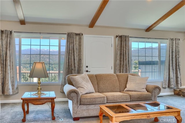 50411 China Creek Way, Oakhurst, CA 93644 - photo 21