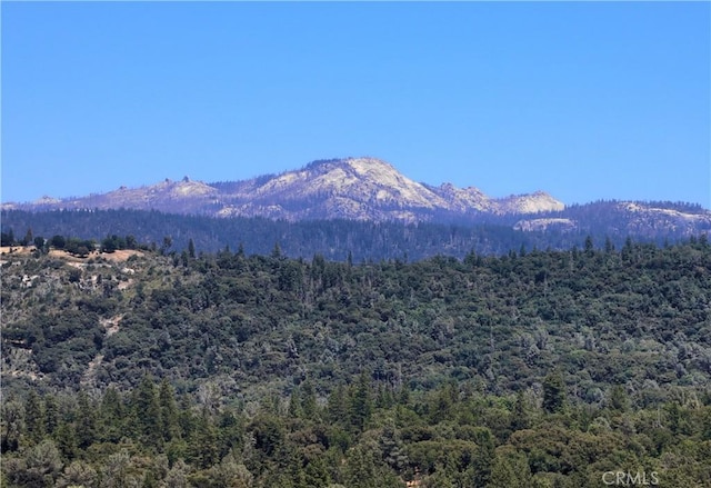 50411 China Creek Way, Oakhurst, CA 93644 - photo 3