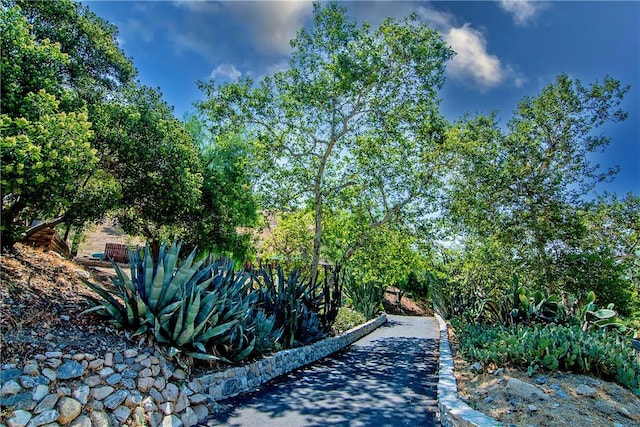 11461 Riverwood Dr, Sunland, CA 91040 - photo 5