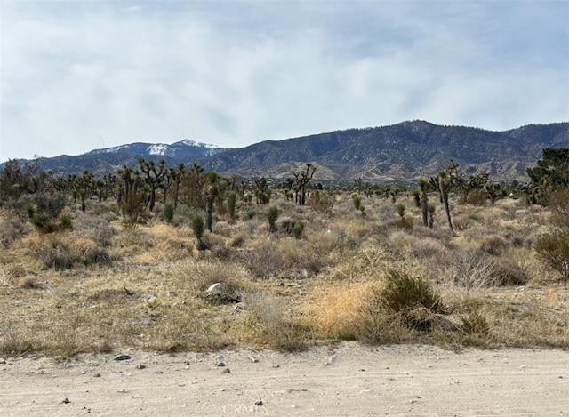 0 Mono Rd, Pinon Hills, CA 92372 - photo 1