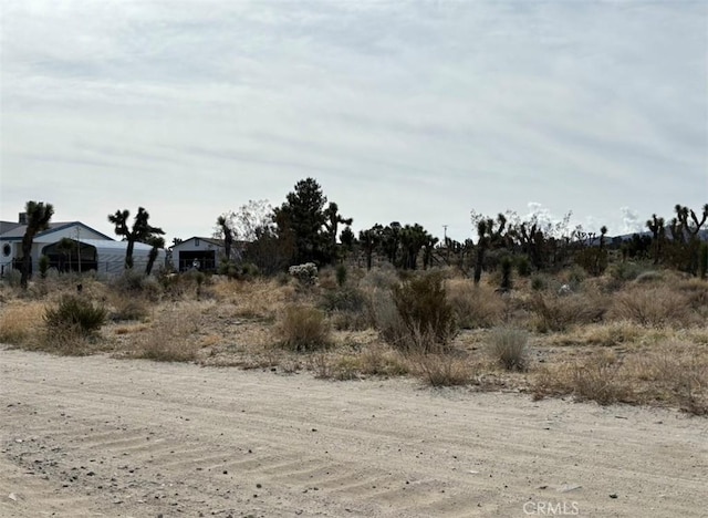 0 Mono Rd, Pinon Hills, CA 92372 - photo 2