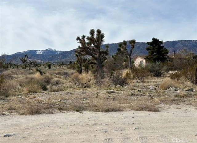 0 Mono Rd, Pinon Hills, CA 92372 - photo 3