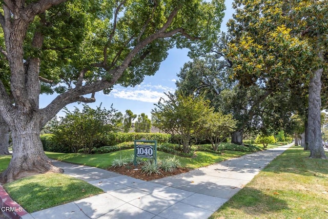 1040 S Orange Grove Blvd Unit 11, Pasadena, CA 91105 - photo 1