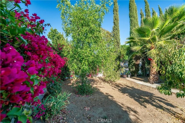 688 E 11th St, Pomona, CA 91766 - photo 49