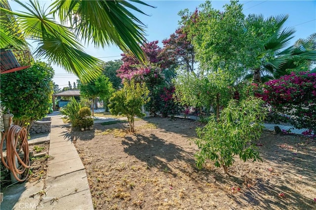 688 E 11th St, Pomona, CA 91766 - photo 48