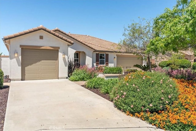 287 Tom Mcguinness Jr Cir, Fallbrook, CA 92028 - photo 4