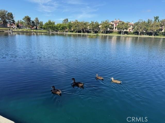 71 Via Cresta, Rancho Santa Margarita, CA 92688 - photo 29