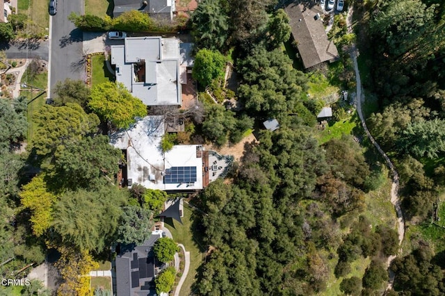 4639 El Camino Corto Ln, Canada Flintridge, CA 91011 - photo 57