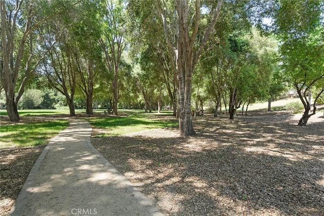 6040 Via Colonia Ct, Atascadero, CA 93422 - photo 25