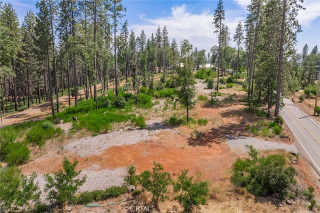 1416 Burdaparadise Ln, Paradise, CA 95969 - photo 8
