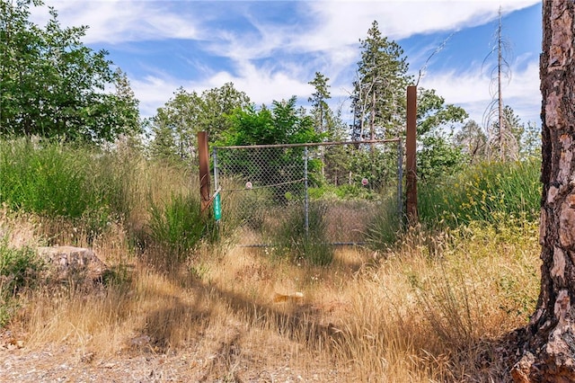 1416 Burdaparadise Ln, Paradise, CA 95969 - photo 32