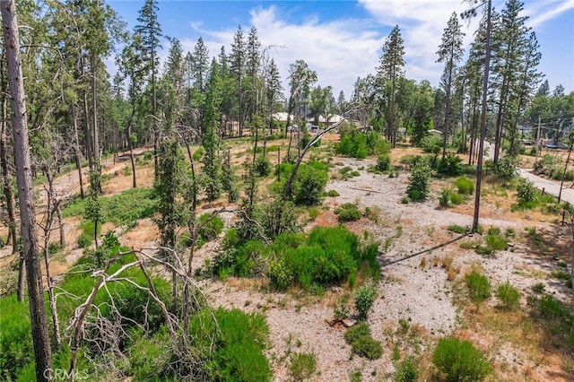 1416 Burdaparadise Ln, Paradise, CA 95969 - photo 9