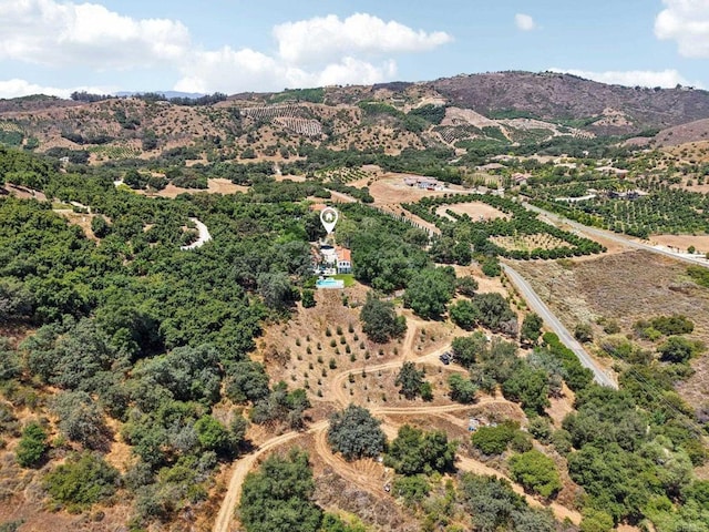 28295 Camino Estribo, Temecula, CA 92590 - photo 61