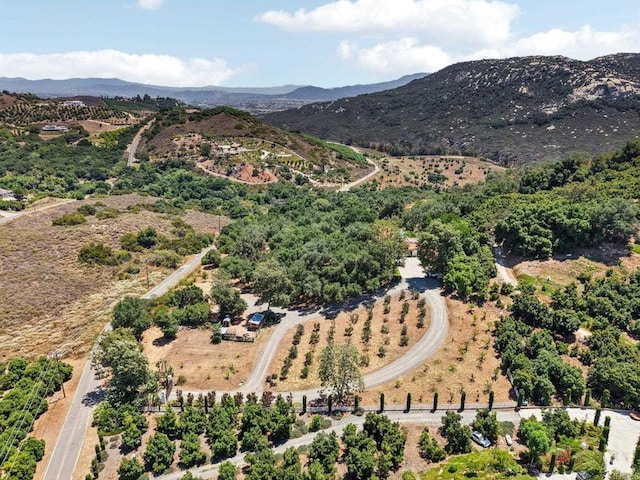 28295 Camino Estribo, Temecula, CA 92590 - photo 58