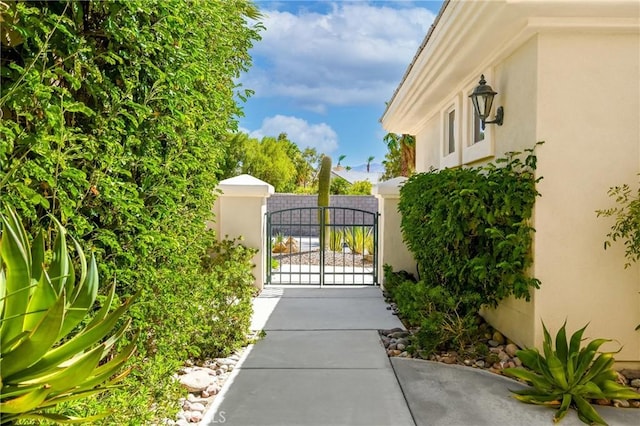 35637 Meridia Ave, Palm Desert, CA 92211 - photo 6