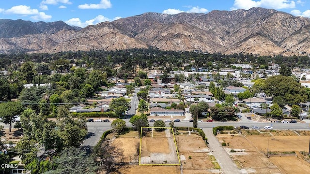 732 E Mariposa St, Altadena, CA 91001 - photo 13