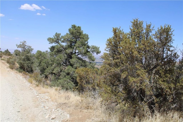 7935 Scenic Dr, Pinon Hills, CA 92397 - photo 9