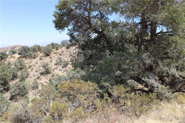 7935 Scenic Dr, Pinon Hills, CA 92397 - photo 4
