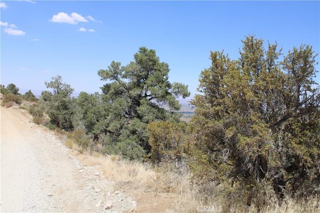 7935 Scenic Dr, Pinon Hills, CA 92397 - photo 10