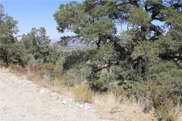 7935 Scenic Dr, Pinon Hills, CA 92397 - photo 7
