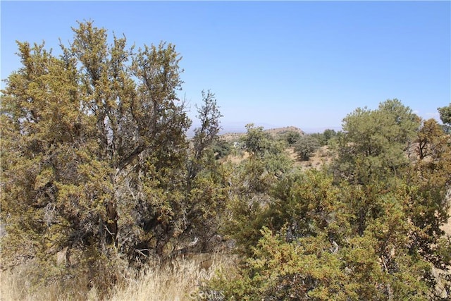 7935 Scenic Dr, Pinon Hills, CA 92397 - photo 8