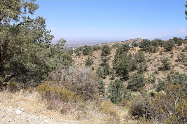 7935 Scenic Dr, Pinon Hills, CA 92397 - photo 2