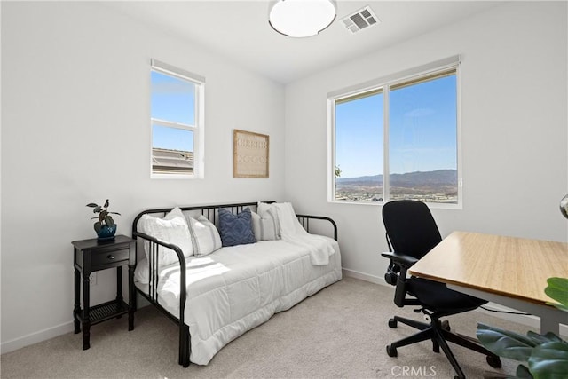 28528 Wildflower Ter, Castaic, CA 91384 - photo 43
