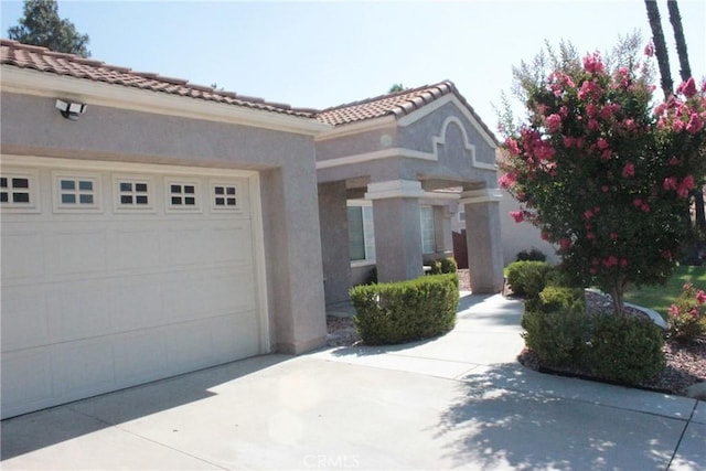 23639 Lake Valley Dr, Moreno Valley, CA 92557 - photo 5