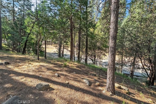 8028 Woodpecker Way, Yosemite, CA 95389 - photo 27