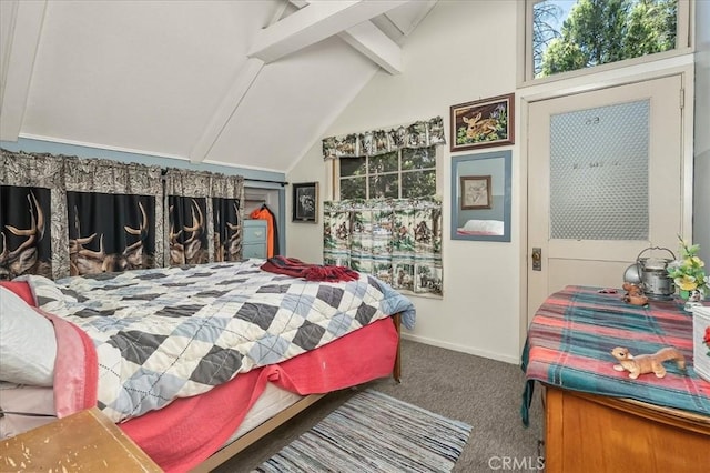 8028 Woodpecker Way, Yosemite, CA 95389 - photo 21